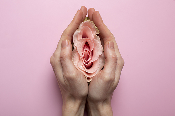 woman holding rose hands reproductive system visualization